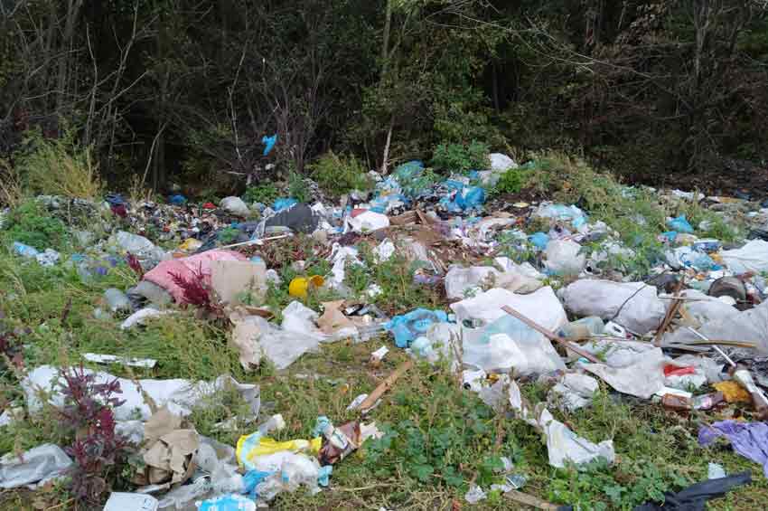 Скаржинецька сільська рада заплатила штраф 76 тисяч за розкидане сміття у громаді 