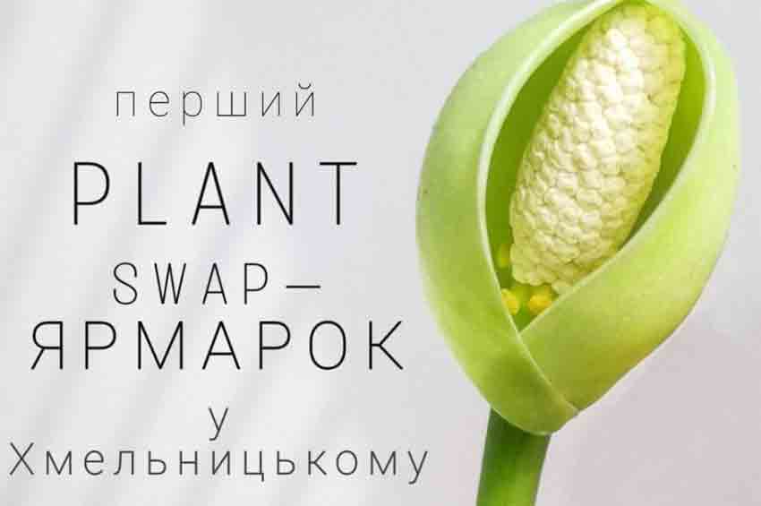 Вперше у Хмельницькому відбудеться рослинний swap-ярмарок кімнатних рослин
