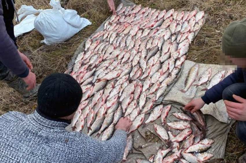 Наловили риби на 340 тисяч: на річці Дністер затримано браконьєрів