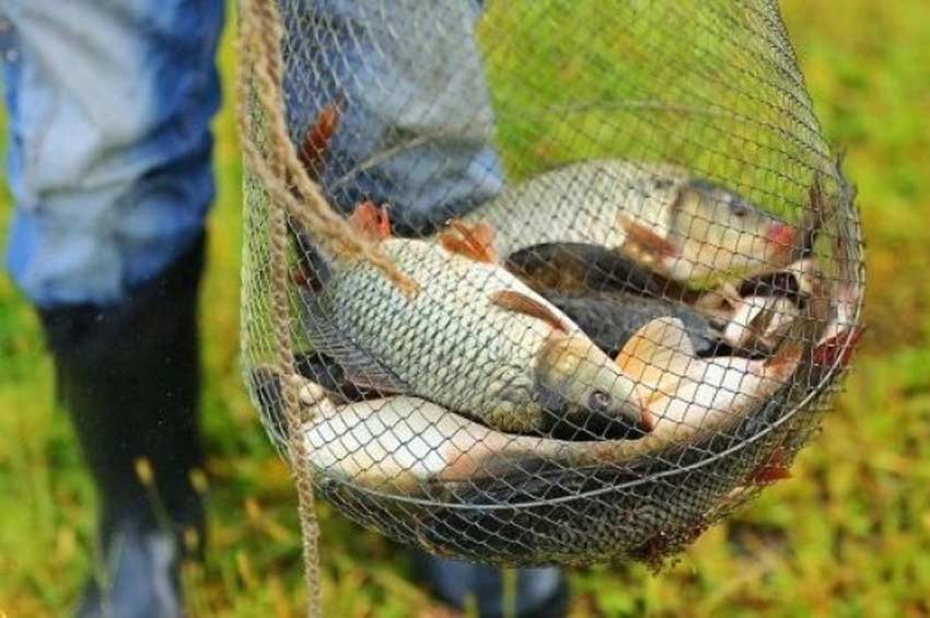 З 1 квітня в Хмельницькій області розпочинається нерестова заборона на вилов риби