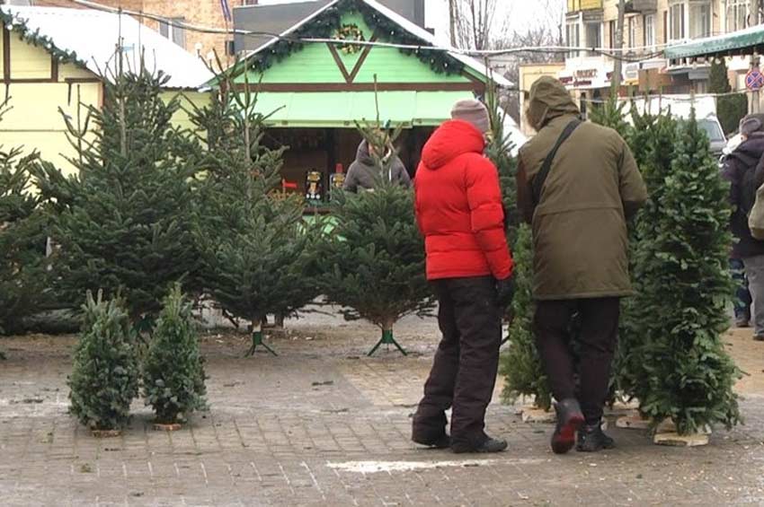 Де у Хмельницькому можна купити новорічну ялинку?