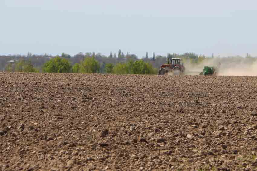 Земельний мораторій: орендна плата за паї занижена у 5 разів