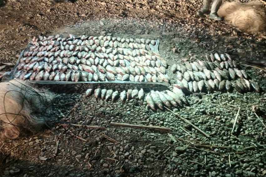 На Кам’янеччині рибалка наловив риби на понад 4 млн грн: порушника затримали