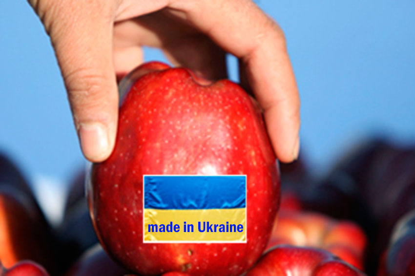 Плодовий прорив: хто купує українські яблука