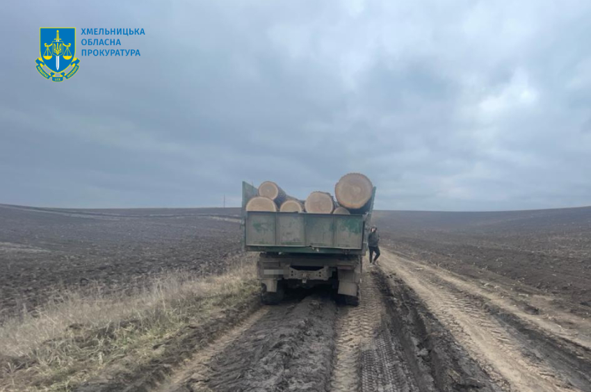 На Теофіпольщині лісничий намагався привласнити деревину на суму майже 400 тисяч гривень