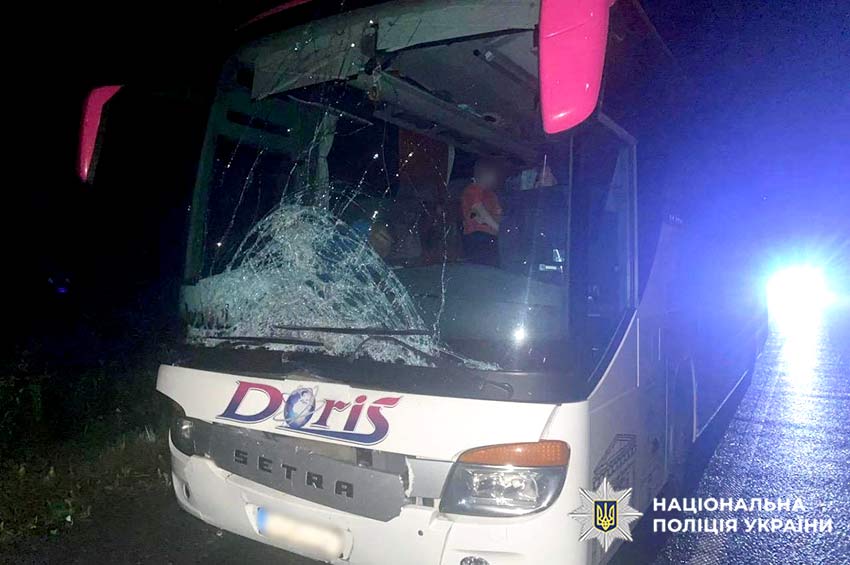 Вночі на трасі «Житомир — Чернівці» на смерть збили пішохода