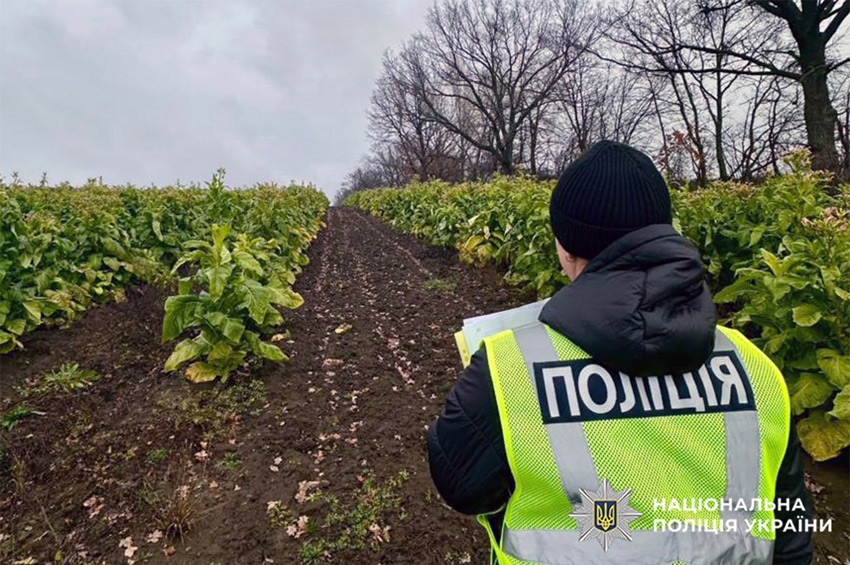Велика партія тютюну та підпільний цех: на Хмельниччині викрили нелегальний бізнес