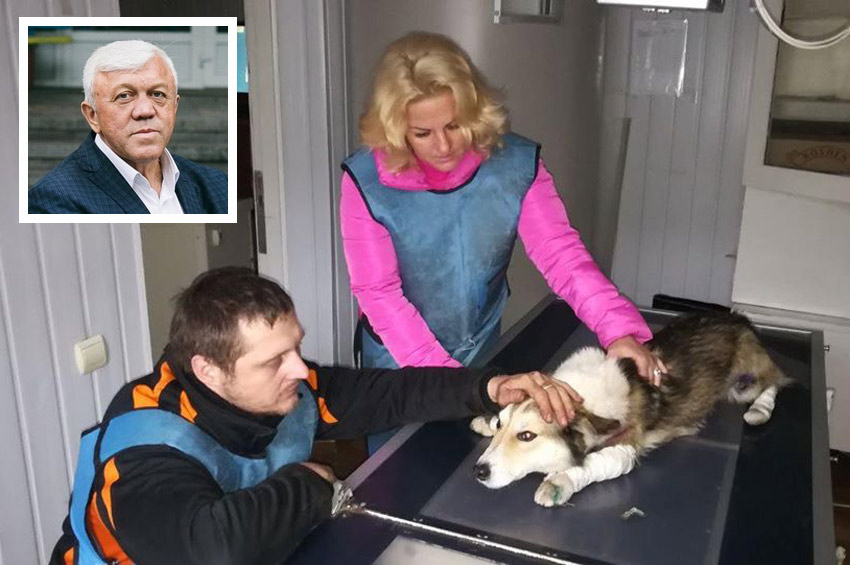 Директора Державного архіву Хмельницької області звільнено за знущання над собакою